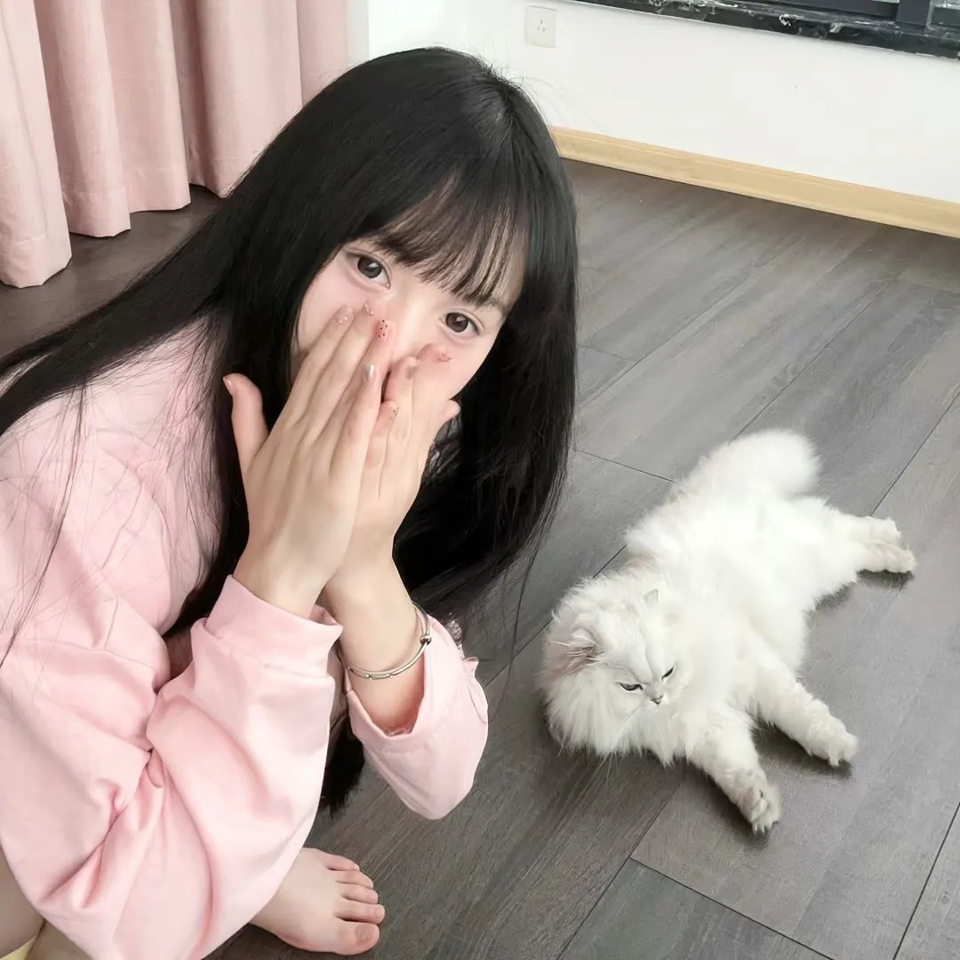电车狂
